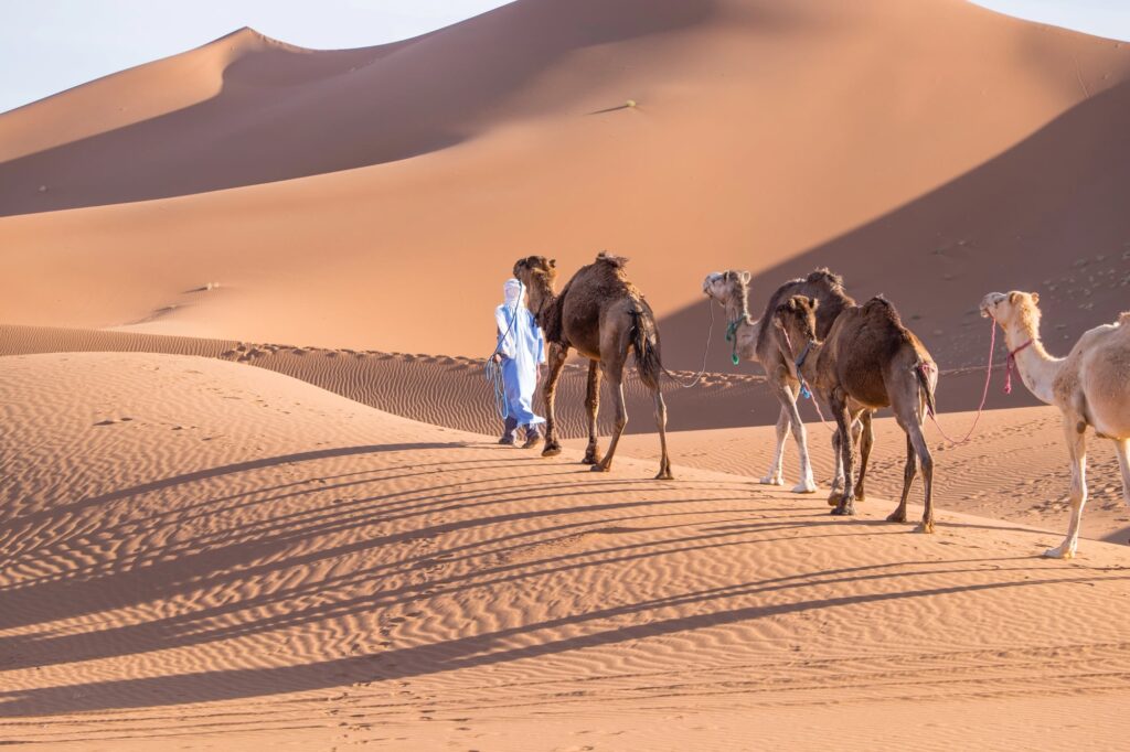 quand partir dans le désert au Maroc