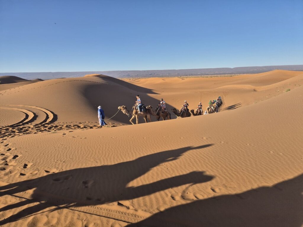 1 Night in Desert from Agadir