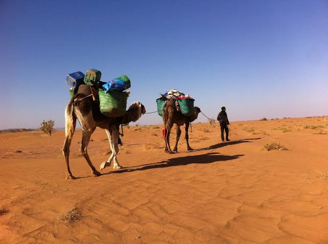Trek désert Maroc 4 jours