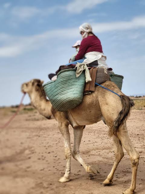 Trek désert Maroc 5 jours
